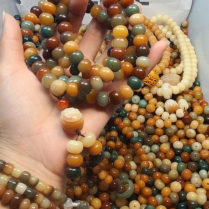 吊坠菩提根/象牙果