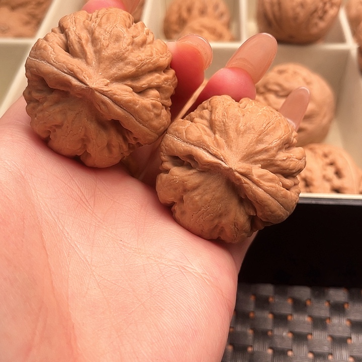 停***安霸王龙核桃尺寸38