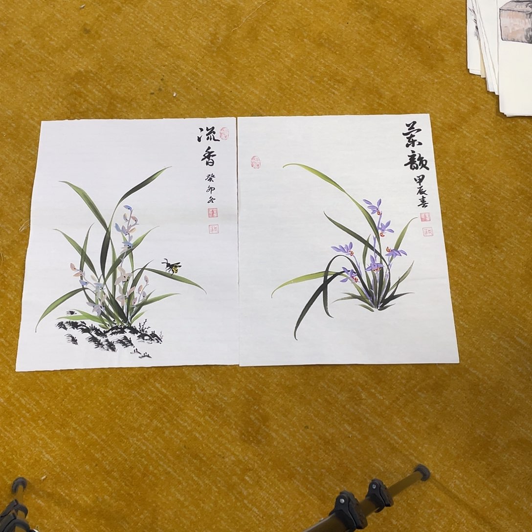 国画兰花福利品9999999999999