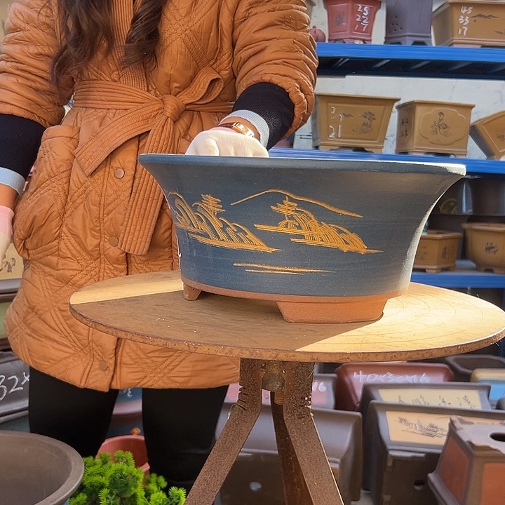 33蓝票口花盆花盆花盆花盆花盆