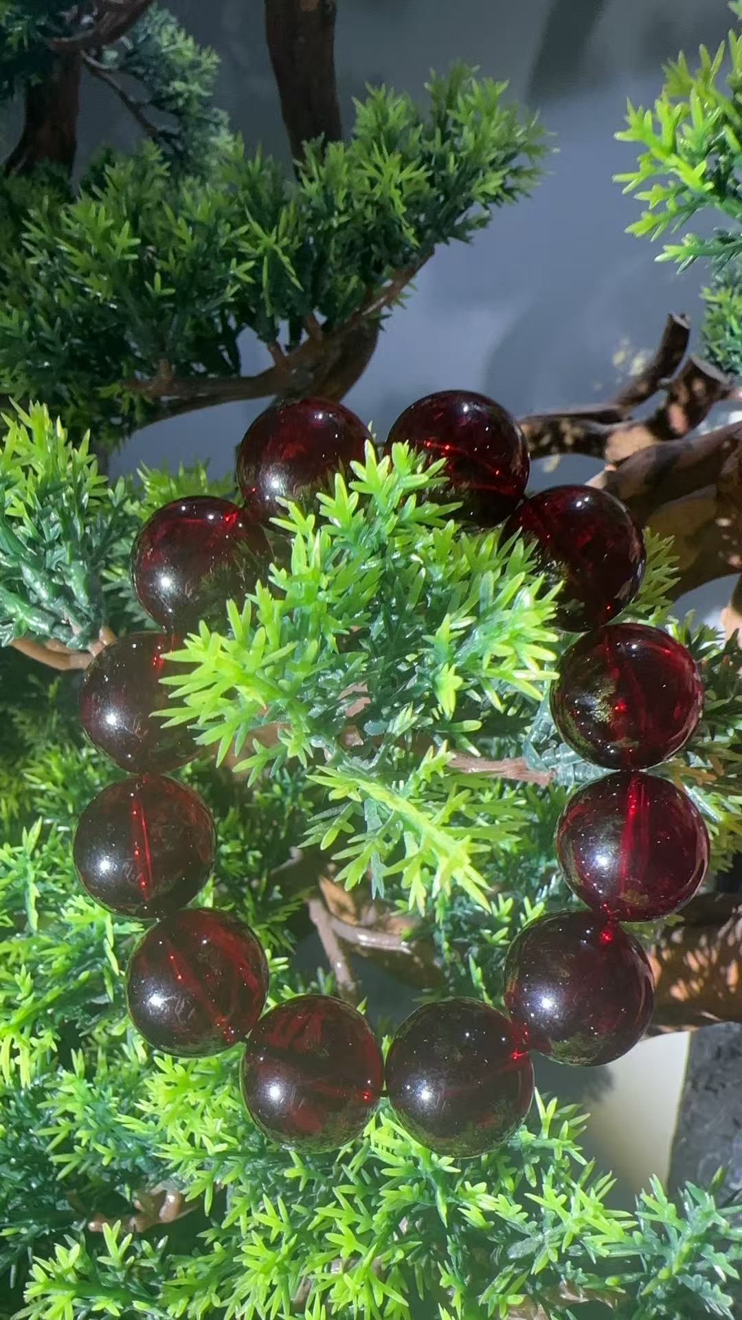 XP0022 精品血单圈（无礼盒）