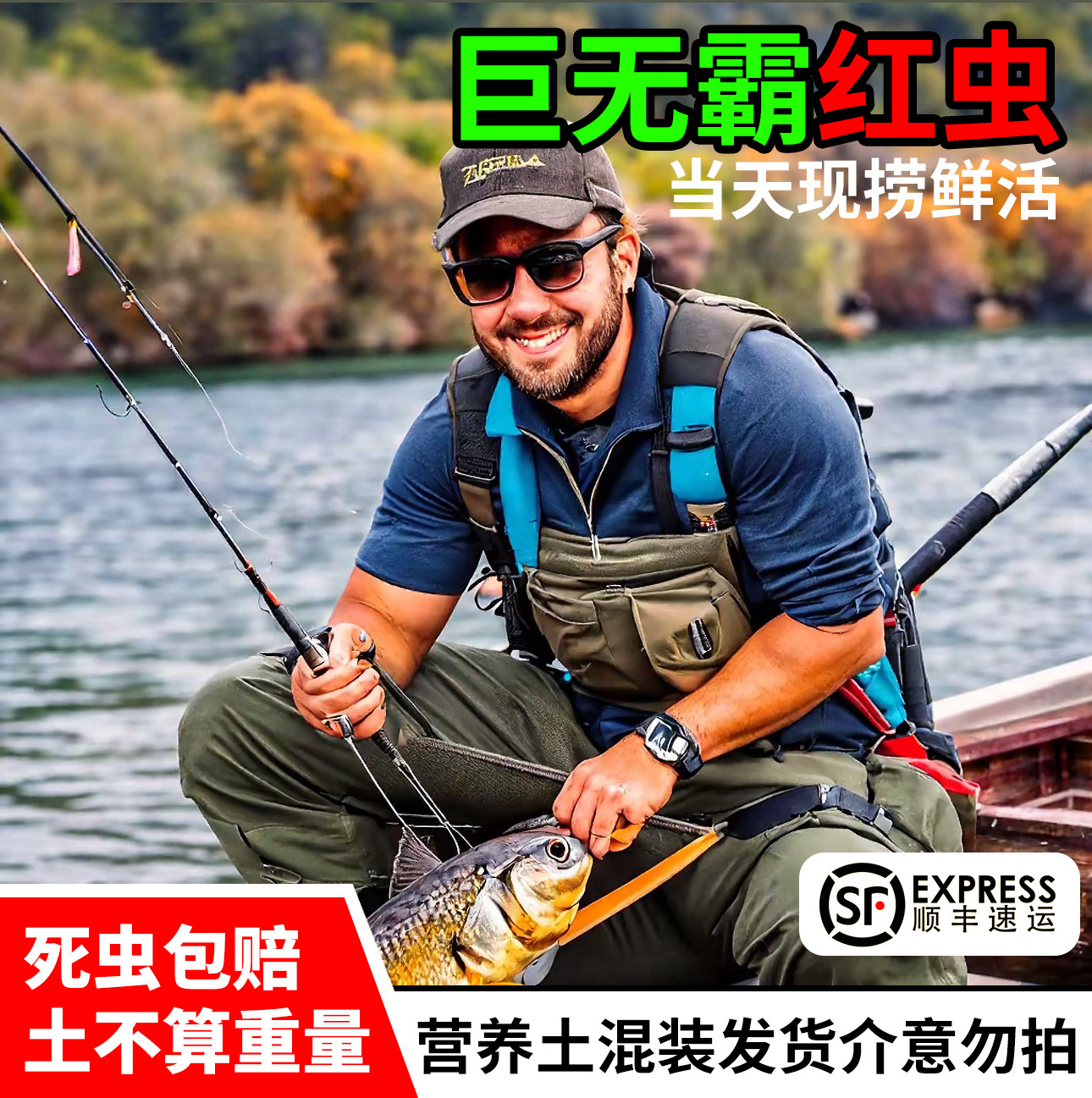 【精品虫皇巨无霸】红虫精品虫野钓黑坑竞技冬季钓鱼必备饵料-28