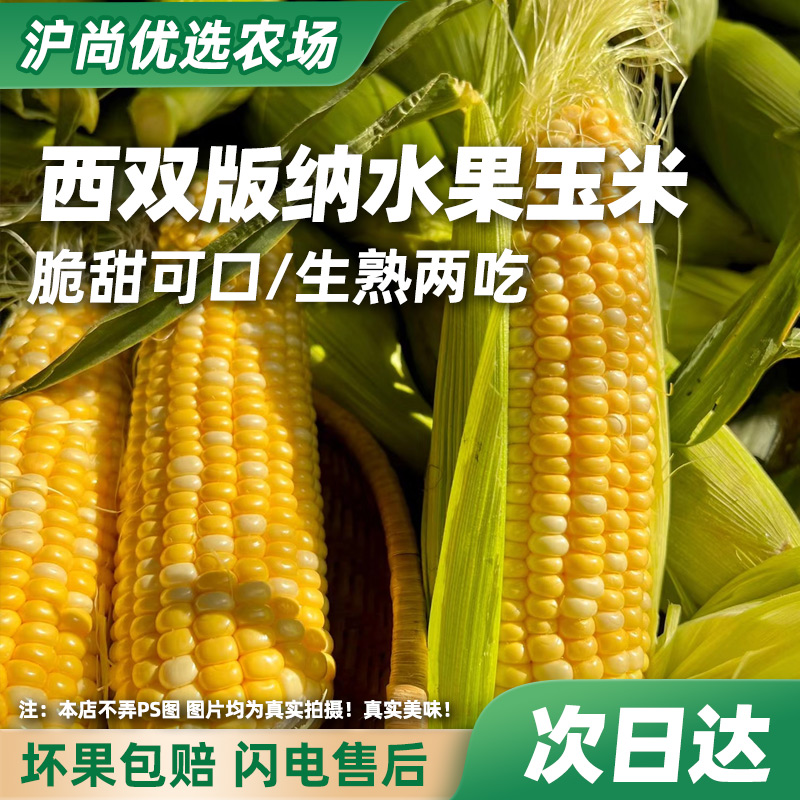【云南高山金银水果玉米】 脆甜可口 鲜嫩爆汁 生熟两吃 生着吃煮着吃都好吃! 农场直发带皮带箱3.2~5.5斤装