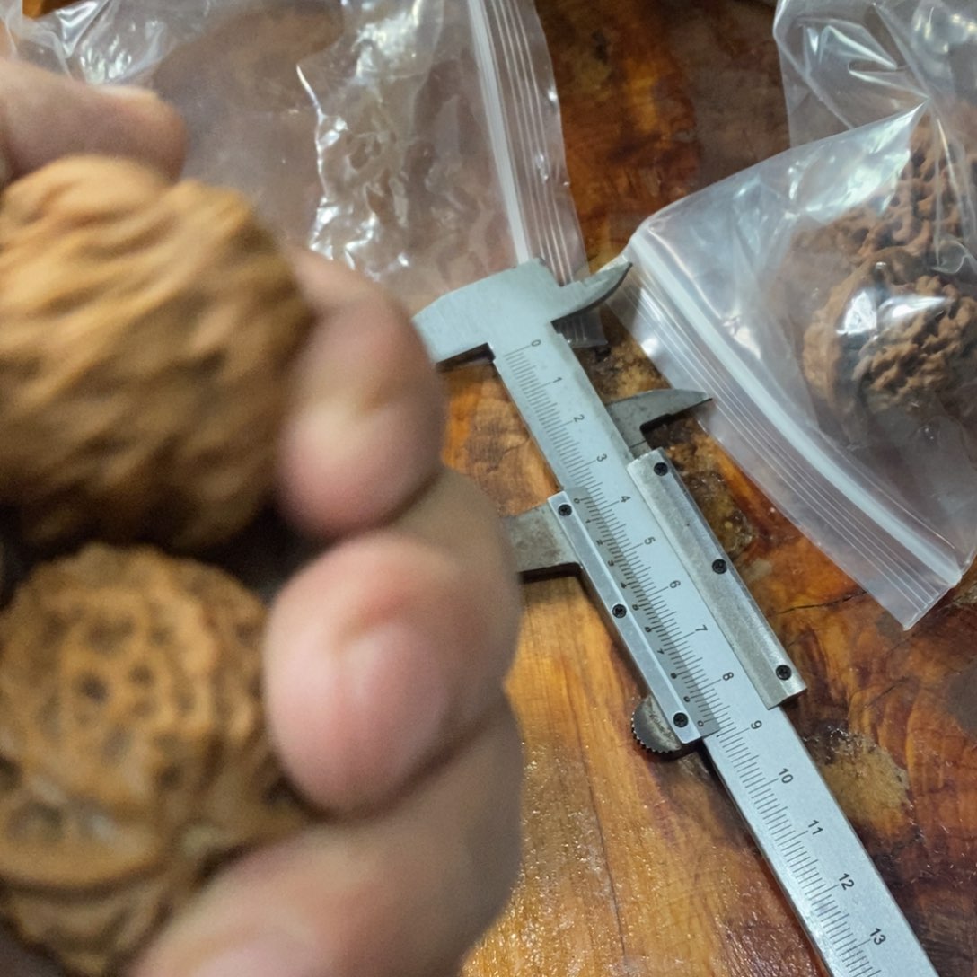 秦岭山脉是以西南山地