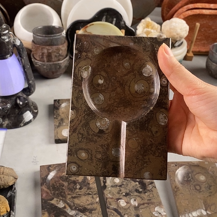 西***格角石菊石化石烟灰缸