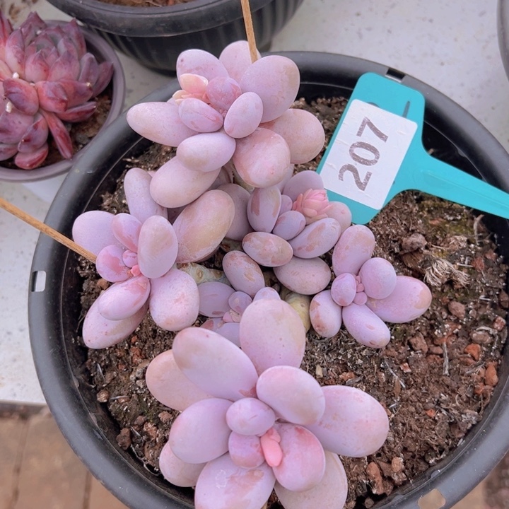 健健康康平平安安