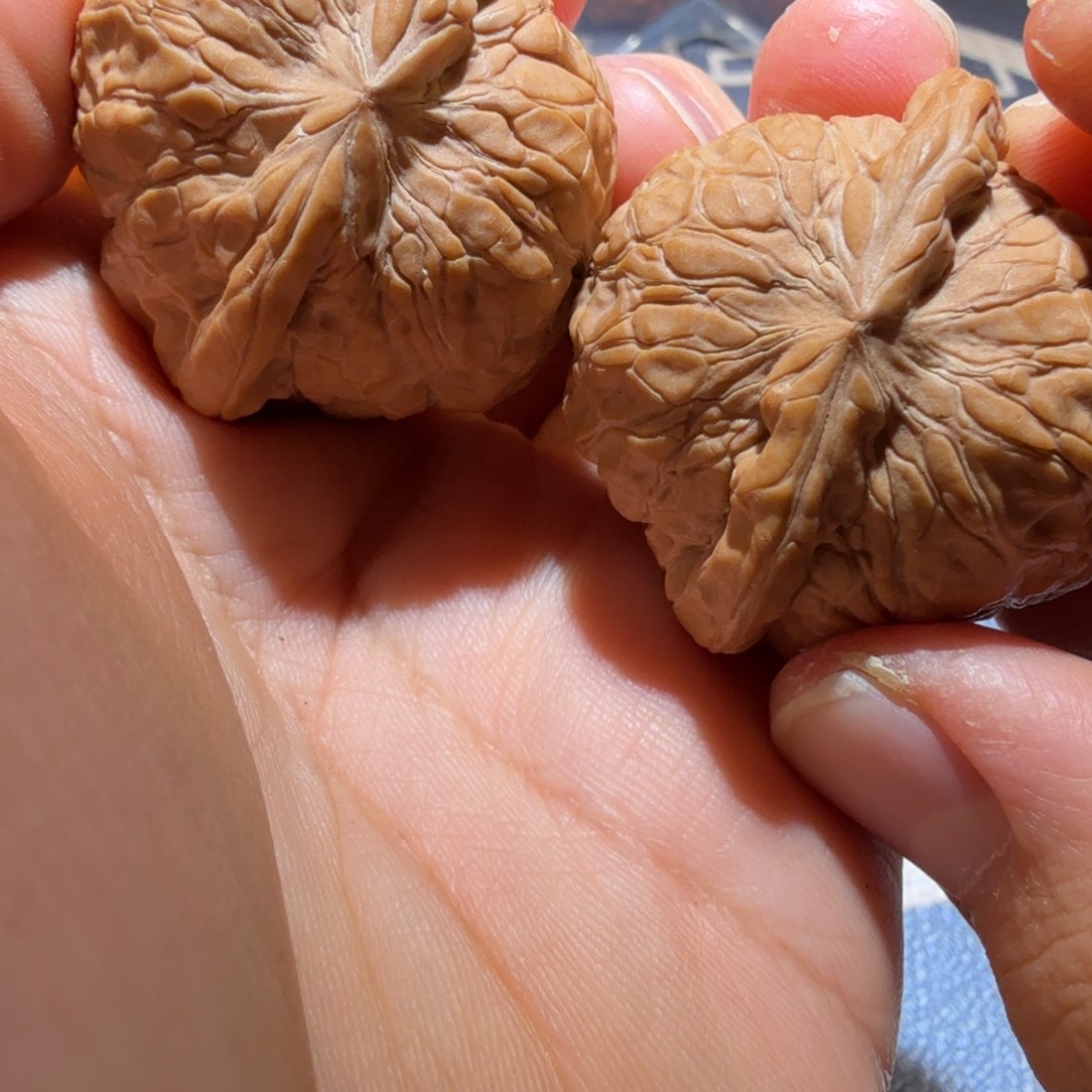 文玩核桃把件平谷南瓜