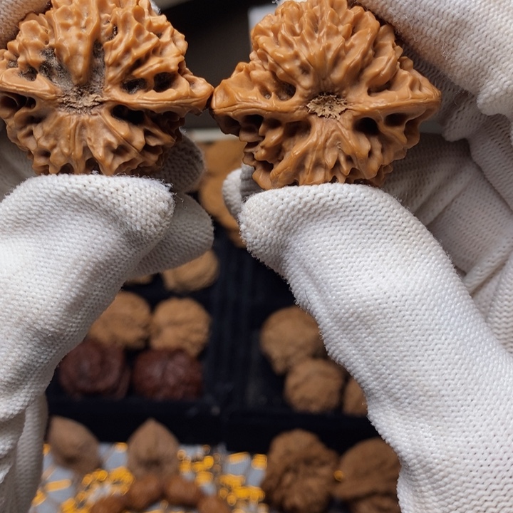 文玩核桃把件b*o秦岭秦闷