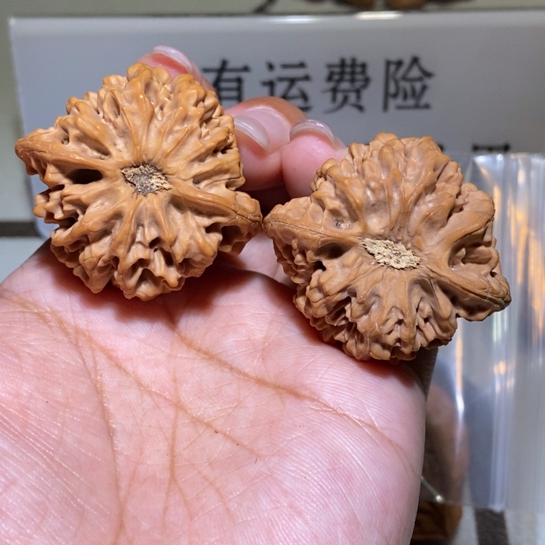 ****呱手串/手链核桃亲们