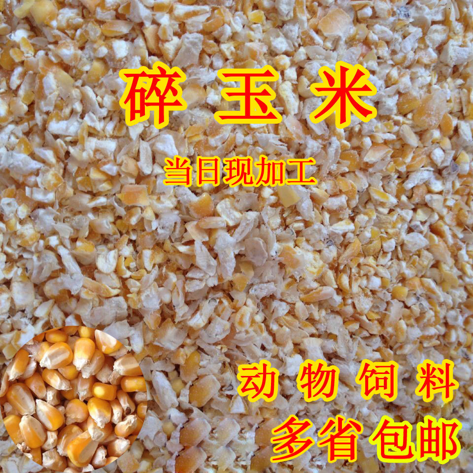 2024年碎玉米渣50斤装碎玉米粒鸡鸭饲料钓鱼打窝鸽子饲料包邮