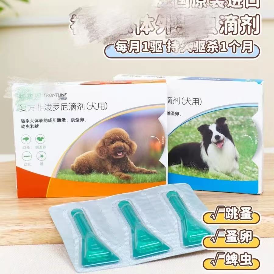狗狗体内体外驱小型犬