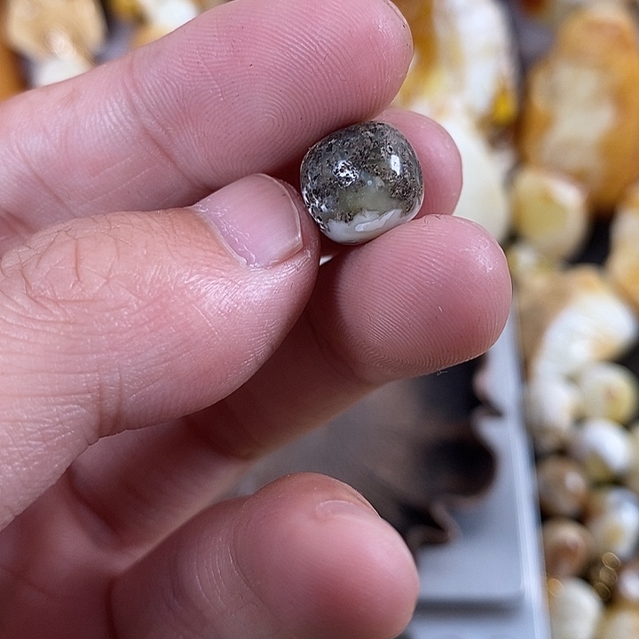 琥珀未镶嵌裸石我