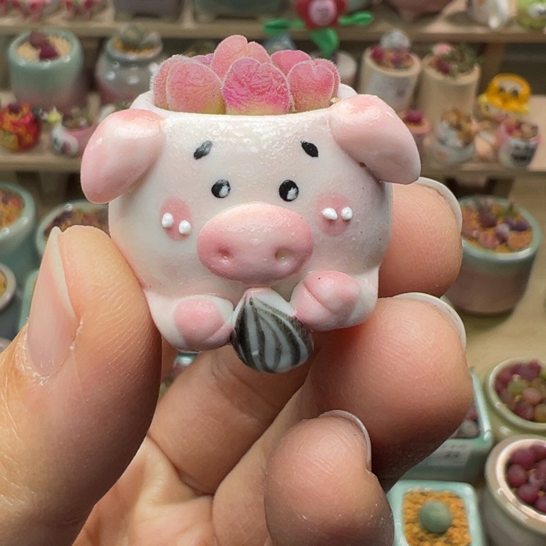 多肉植物57号拇指盆