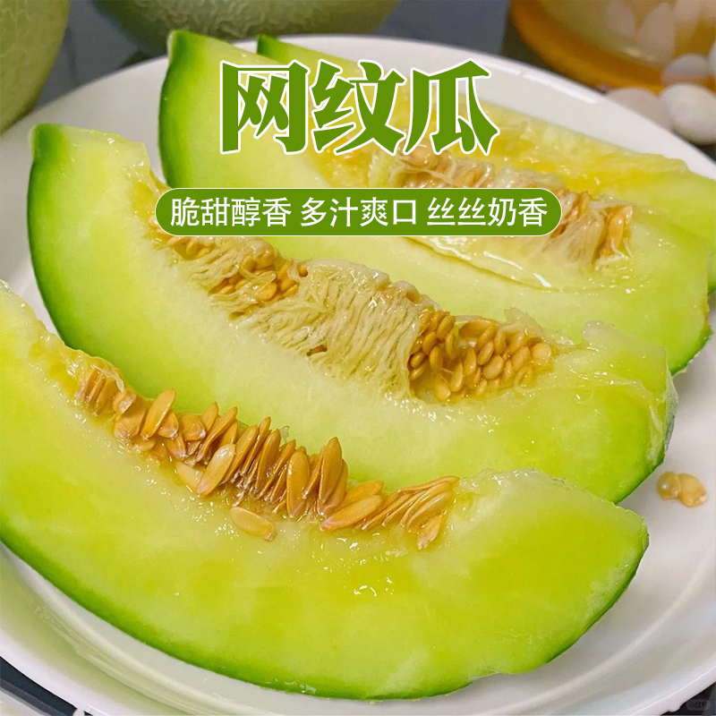 【坏果包赔】甘肃网纹瓜2粒净重5-5.5斤
