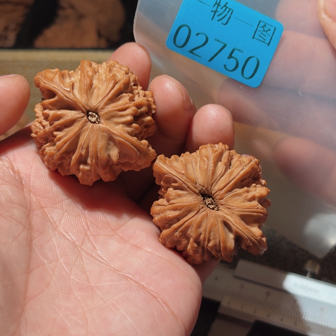 文玩核桃把件磨盘