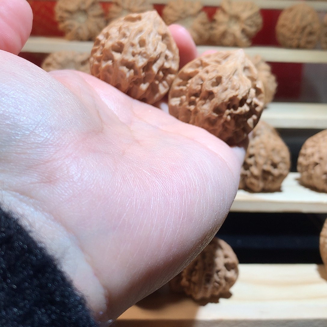 摩***羯核桃39龙门涧文玩核桃手把件