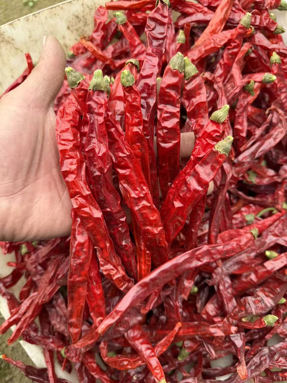特香二荆条辣椒家中常备干货食材提香