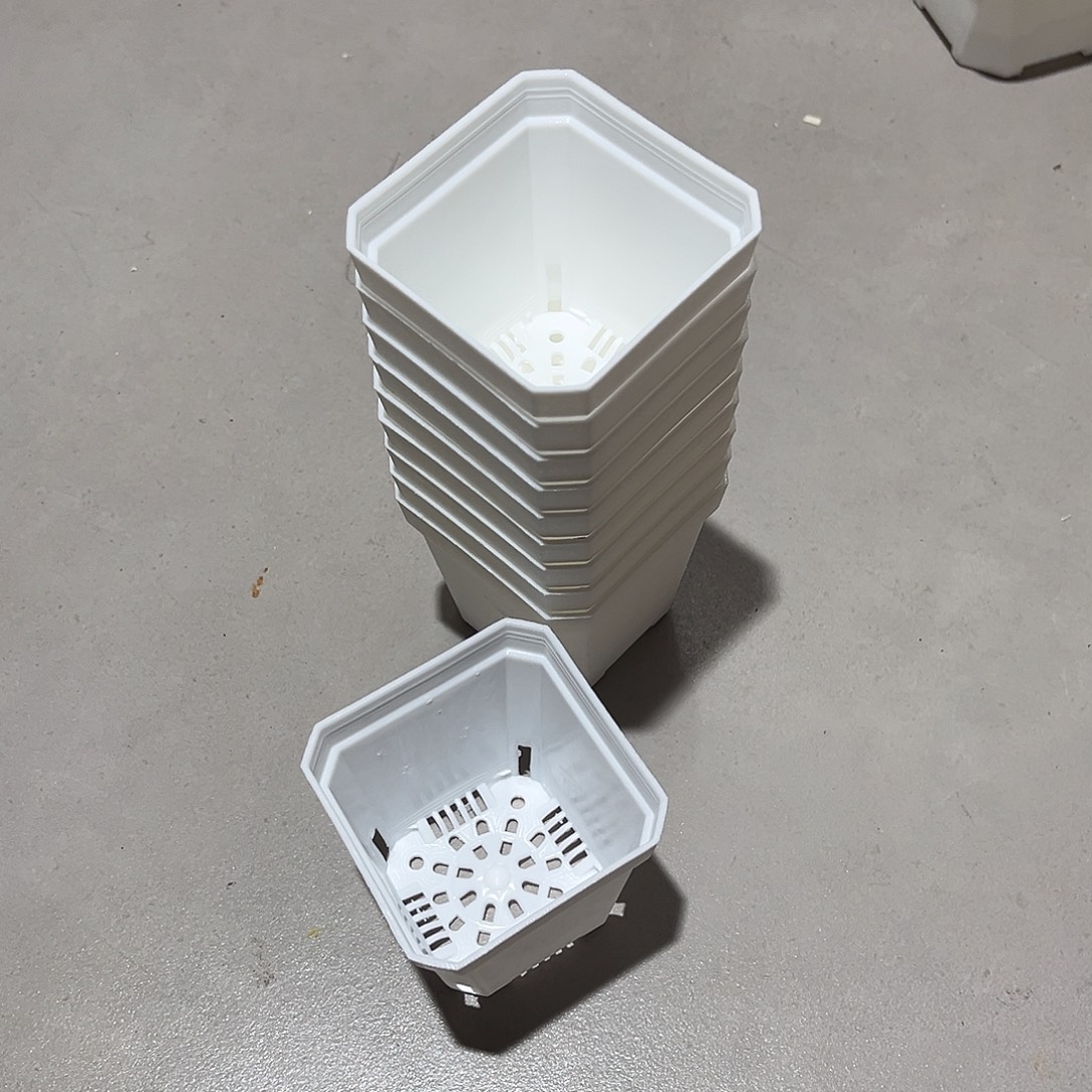 薇***中厚口7高7白盆50个无托