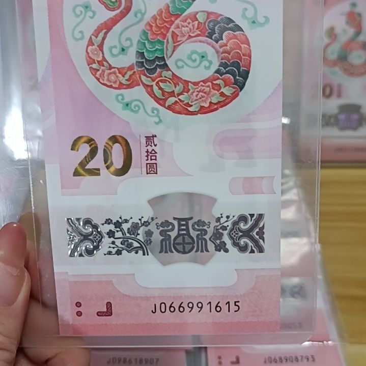 塑料蛇钞如图所示066991615