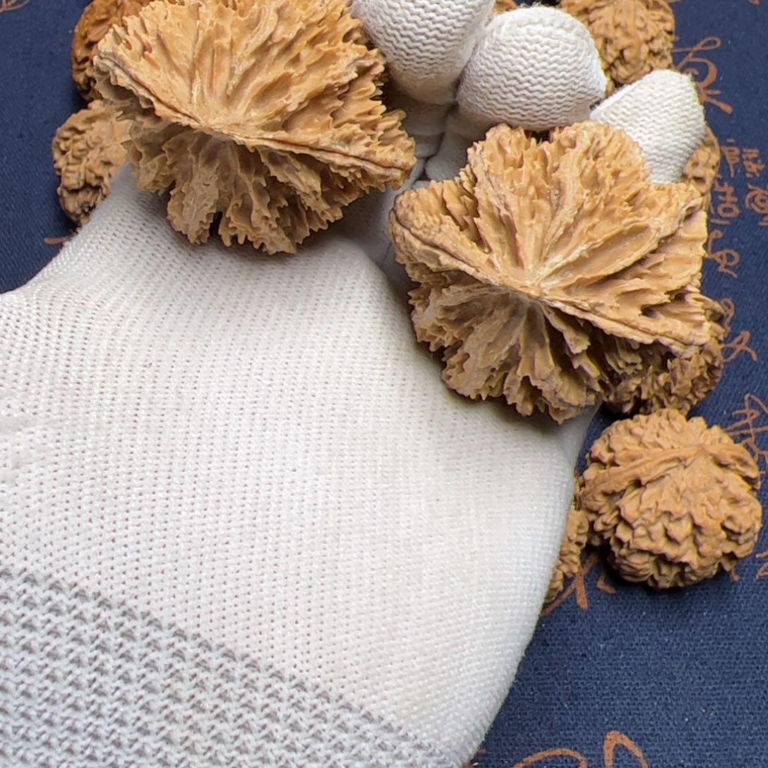 文玩核桃把件秦岭野生植物核桃