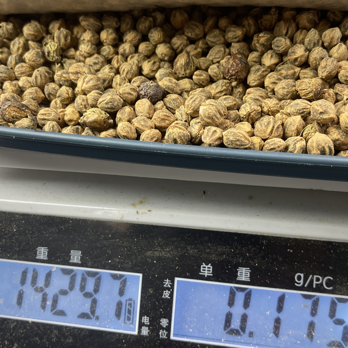 1400克热振红芽柏香籽散籽CW17