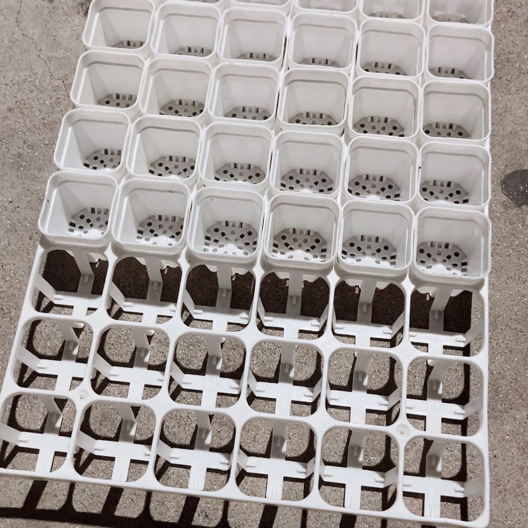 塑料福利款4厘米白方盆48个带拖架