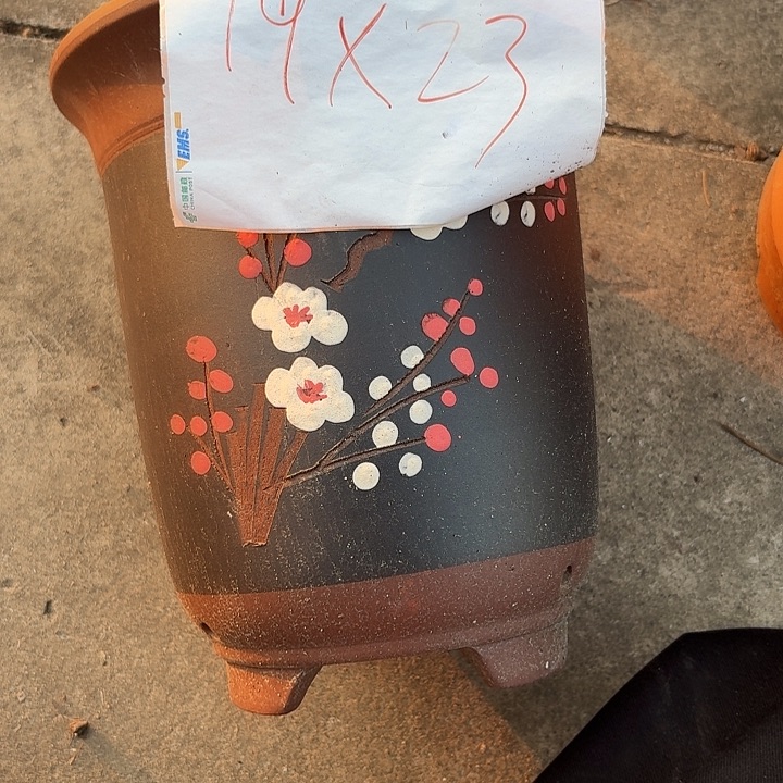 花盆紫砂111111111