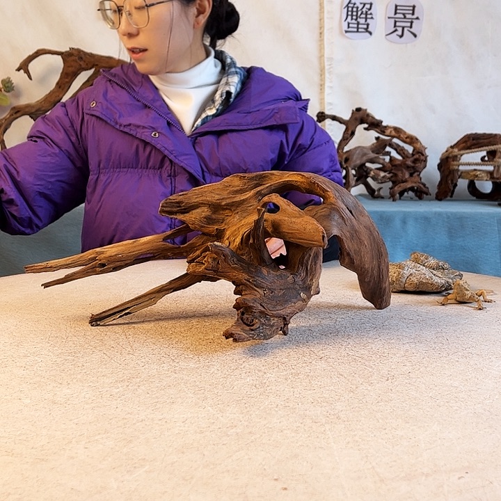 新年快乐沉木造景