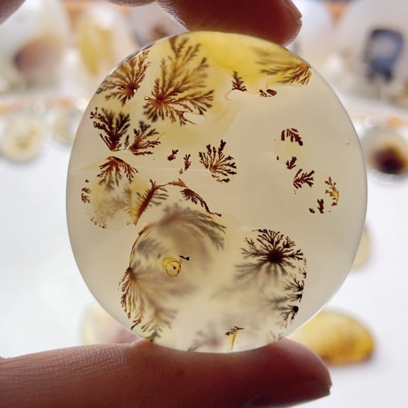 【闪购商品】玛瑙/玉髓颈饰未镶嵌