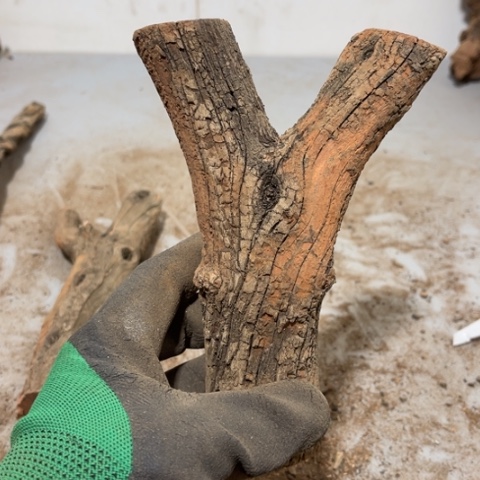 大果紫檀（缅甸花梨）曾***诺