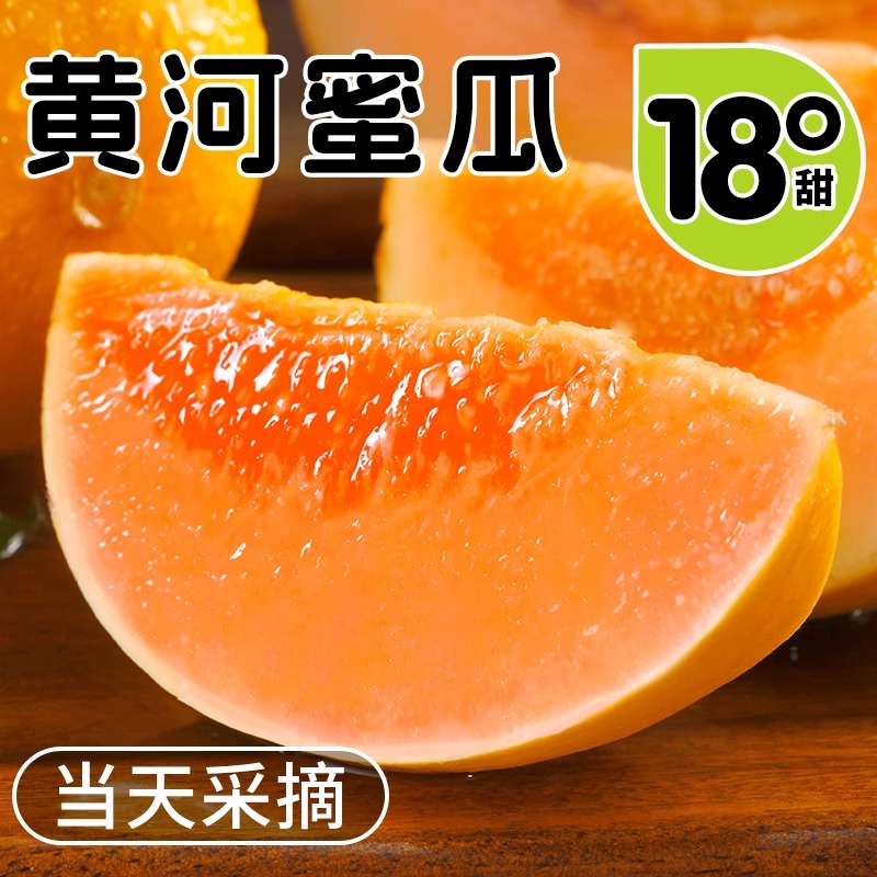 正宗头茬甘肃民勤黄河蜜瓜当季新鲜水果现摘甜瓜黄金蜜瓜民勤蜜瓜
