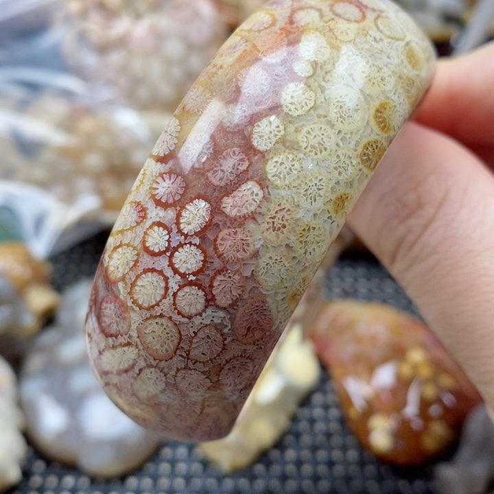 硅化珊瑚（珊瑚玉）颈饰未镶嵌