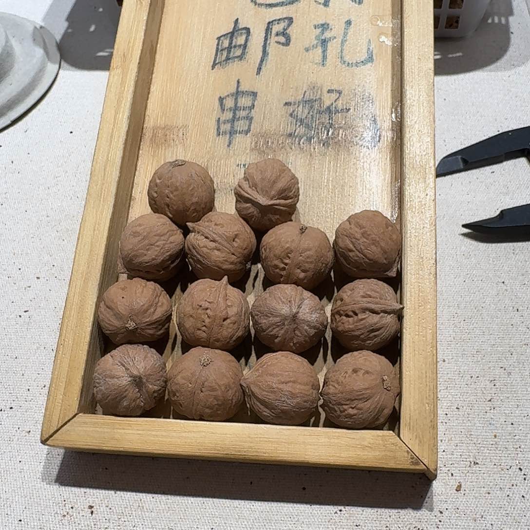 核桃手串/手链17号边20肚23高21