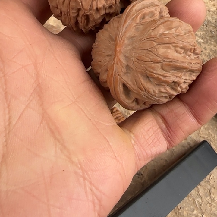 ༺***༻把件文玩核桃战鼓