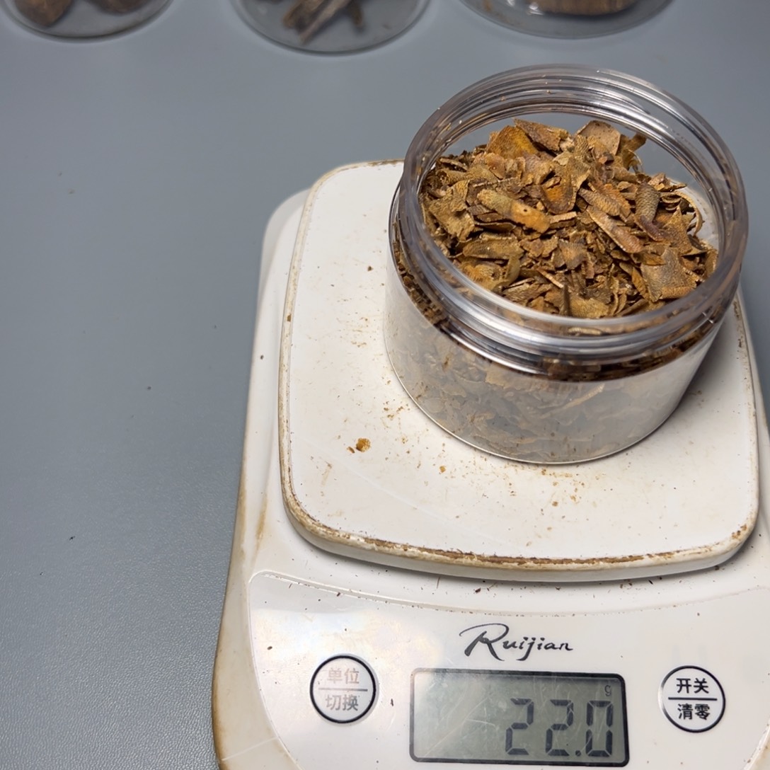 树脂制品r*d海南张勺子树20克