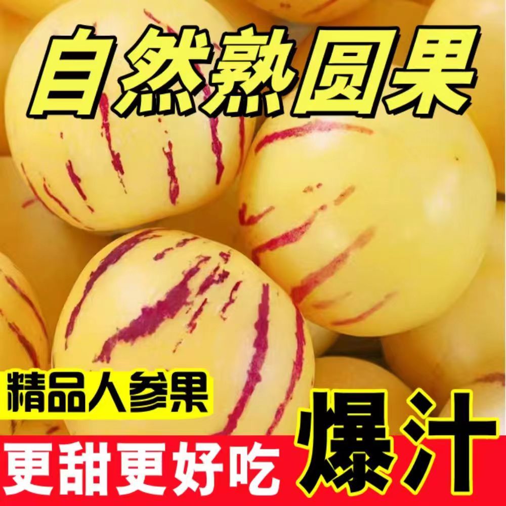 【自然熟】云南石林新鲜果圆果黄肉树熟清甜多汁应季水果大果5斤