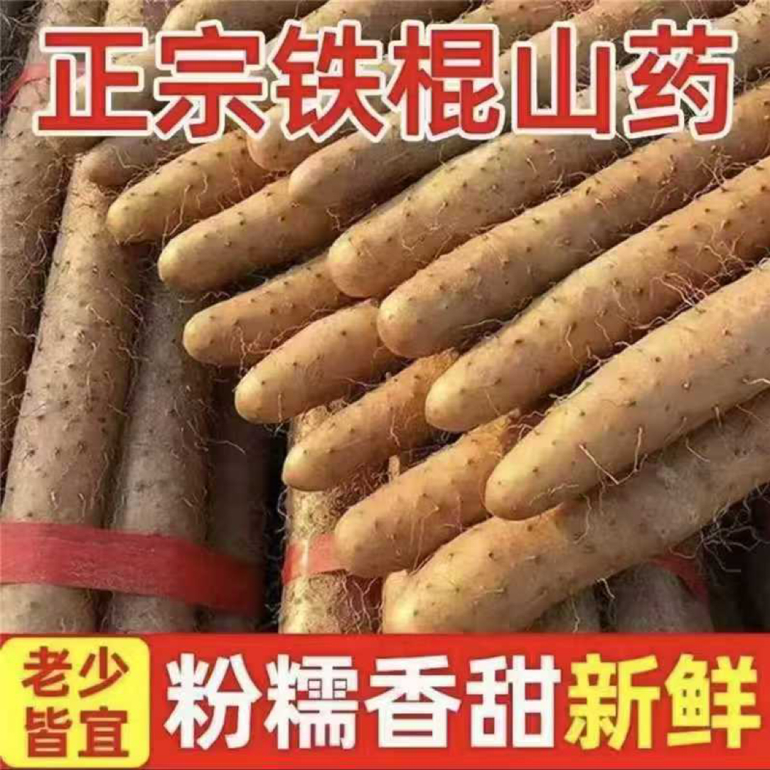 正宗铁棍山药新鲜食用怀山药当季现挖铁棍山药