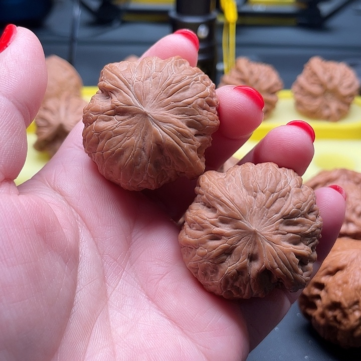 全品无修铁锤妹妹39+/39+/30