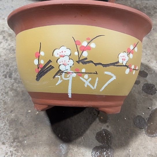 紫砂工艺厂……紫砂工艺厂……