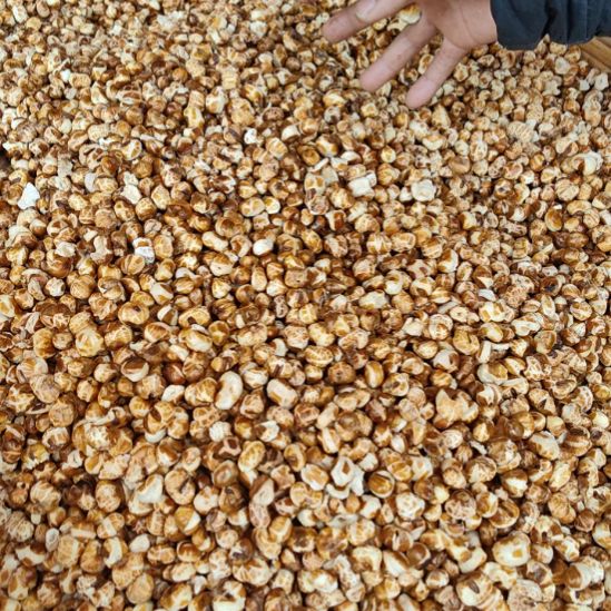 中国大陆猫场包谷花2斤