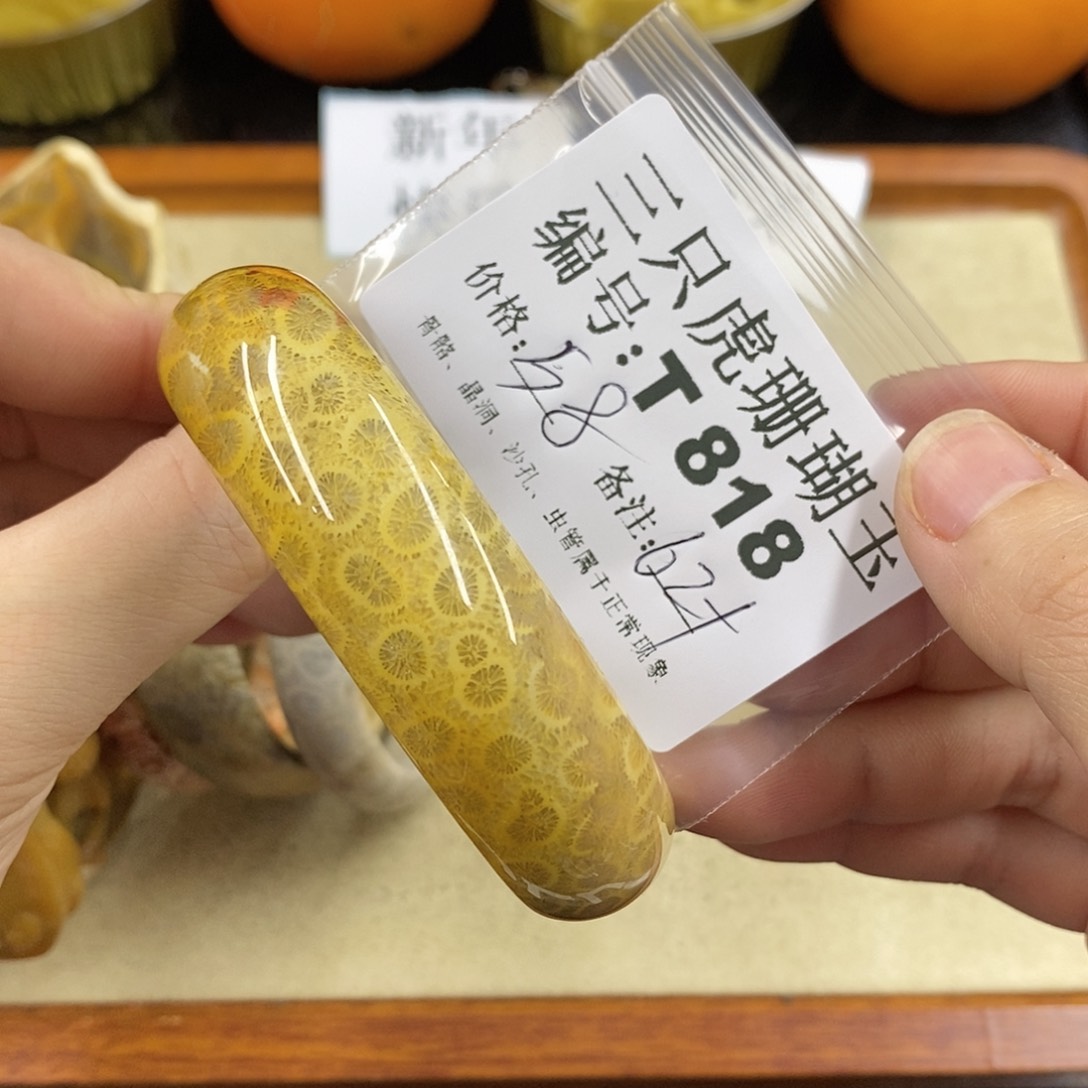 硅化珊瑚（珊瑚玉）1未镶嵌天***?