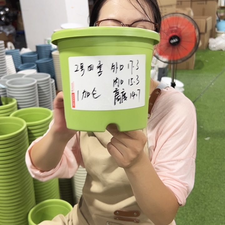 特价2号四季口17.3高14.7果绿10只无托