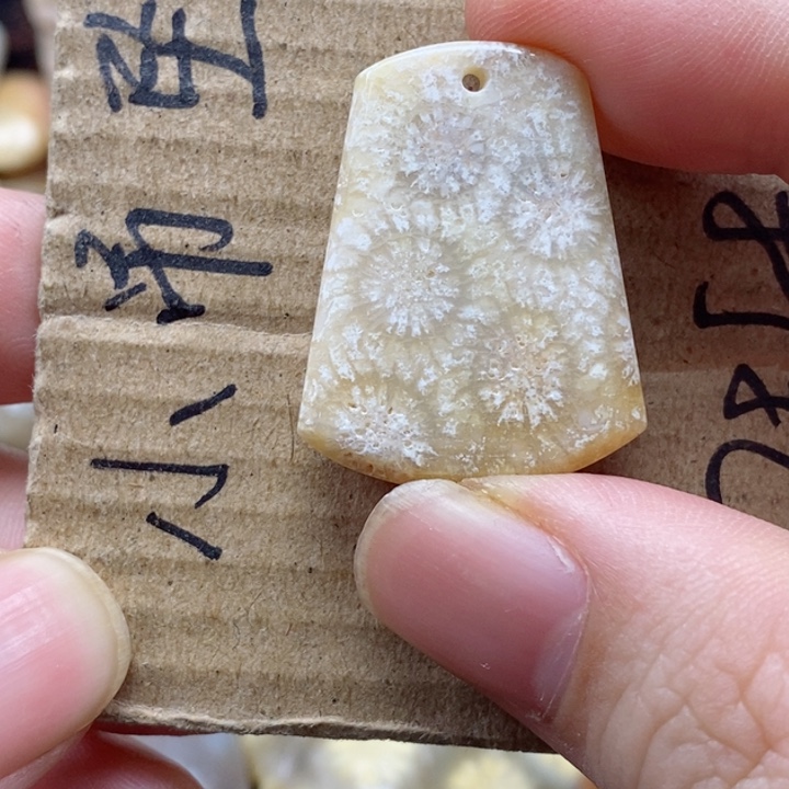 硅化珊瑚（珊瑚玉）颈饰未镶嵌