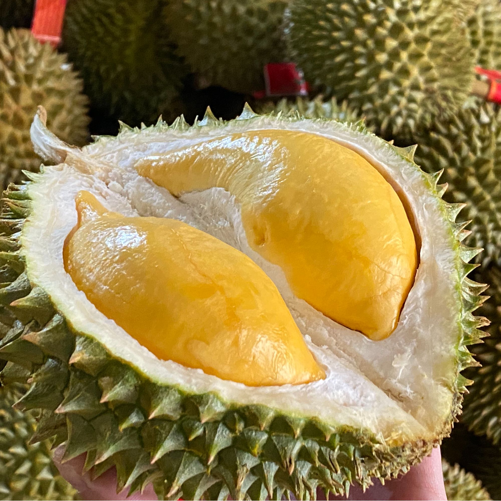 马来西亚（新鲜果）猫山王树上熟1000g-3000g核大空运一小时内送达猫山王马来西亚