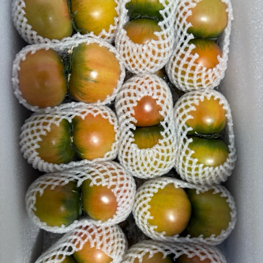 精品小果（净果5斤）顺丰包邮碱地柿子铁皮西红柿草莓西红柿应季