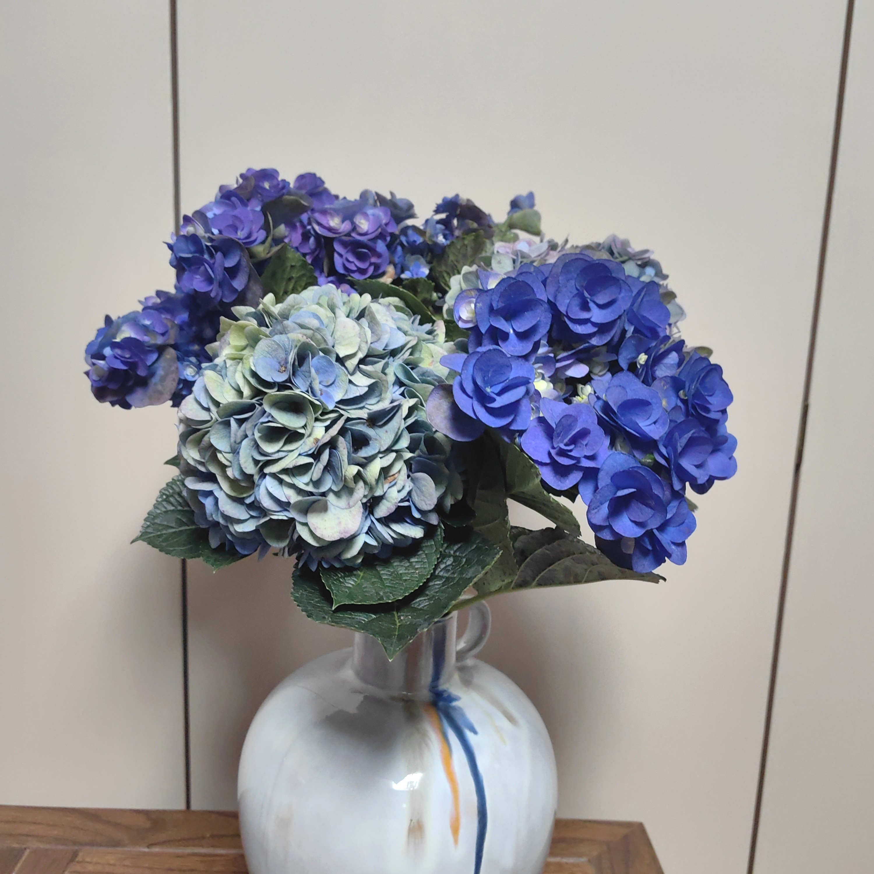 小众绣球花鲜切花云南基地直发蓝色粉色紫色水养插花包邮