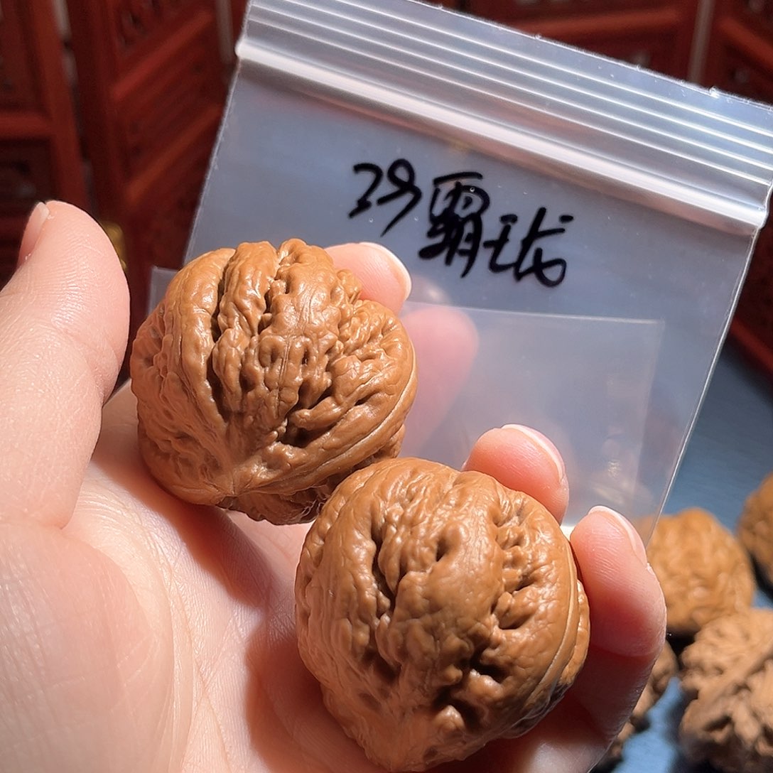 源****39霸王龙……全品