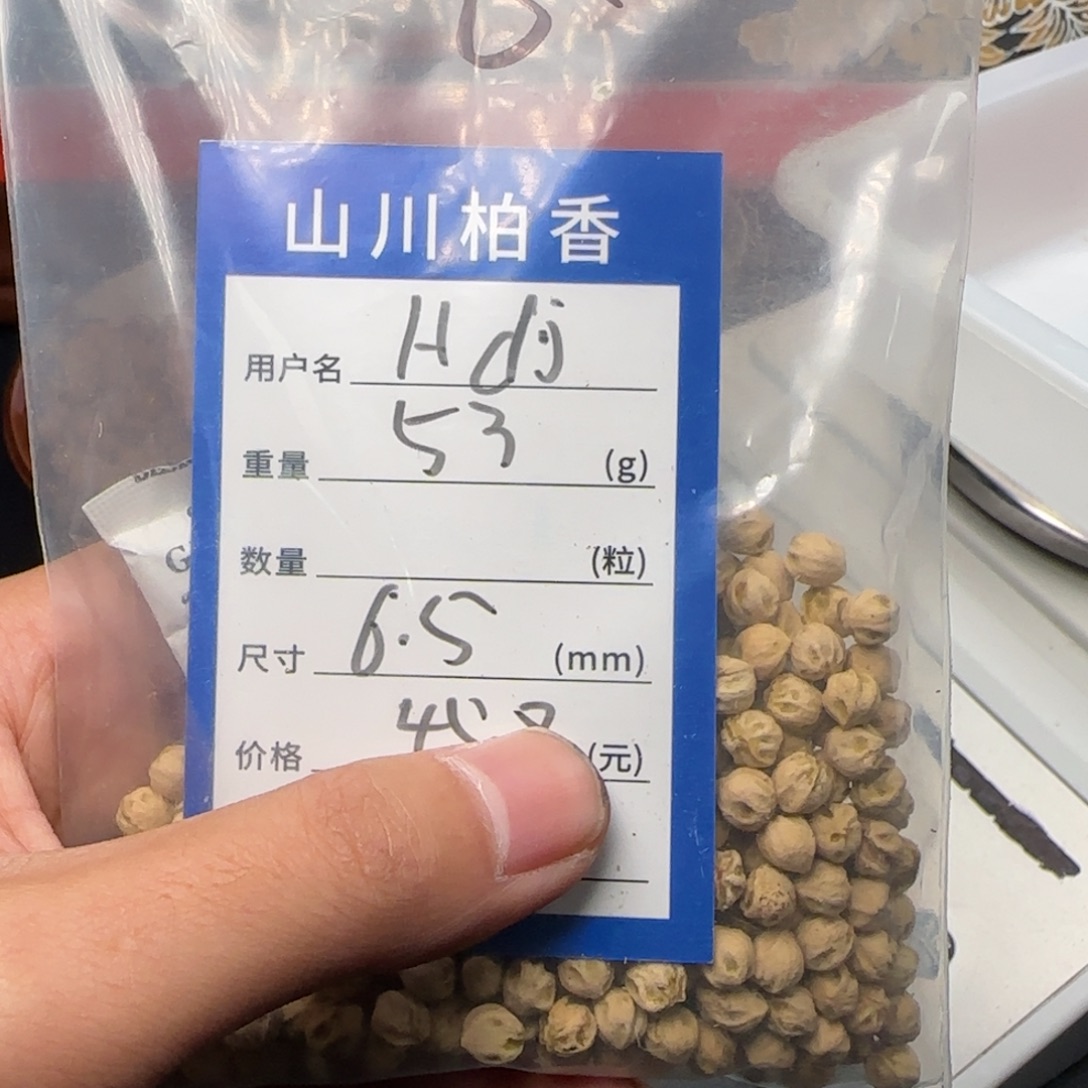 H***j吊坠柏香籽/百香籽