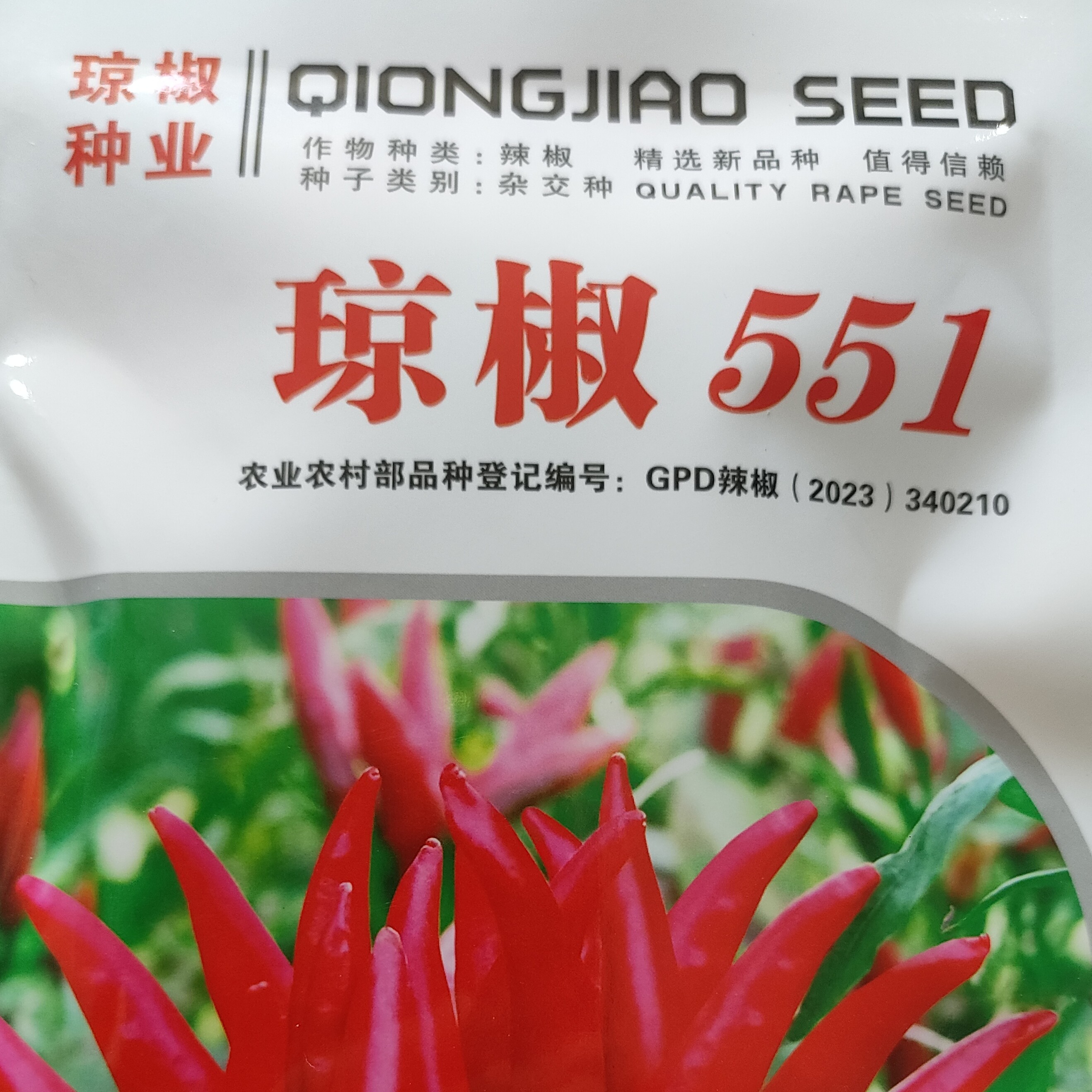 琼椒 551 产量就是高