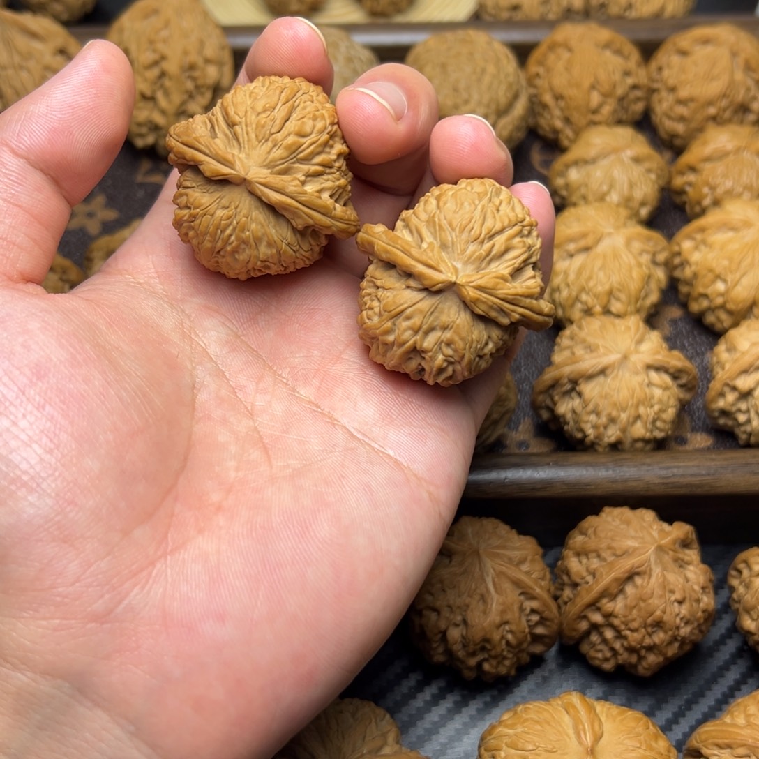 把件文玩核桃白狮子40